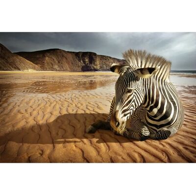 PAPERMOON Strandzebra Tapete - Hochwertiger Digitaldruck PAPERMOON Strandzebra Tapete - Hochwertiger Digitaldruck