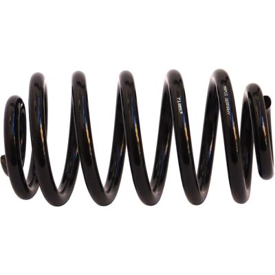 MAPCO 71853 Molla a spirale - Asse posteriore MAPCO 71853 Molla a spirale - Asse posteriore