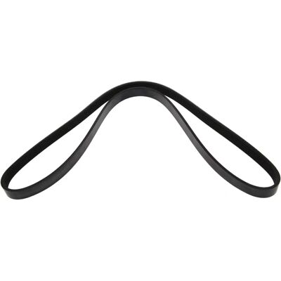 MAPCO Cinghia Poly-V 1220mm - Accessori Auto MAPCO Cinghia Poly-V 1220mm - Accessori Auto