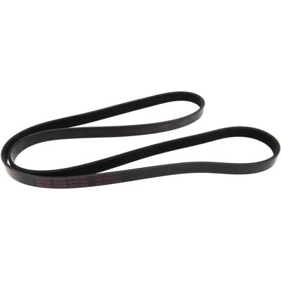 Curea Poly-V MAPCO 1588mm - Accesorii auto Curea Poly-V MAPCO 1588mm - Accesorii auto