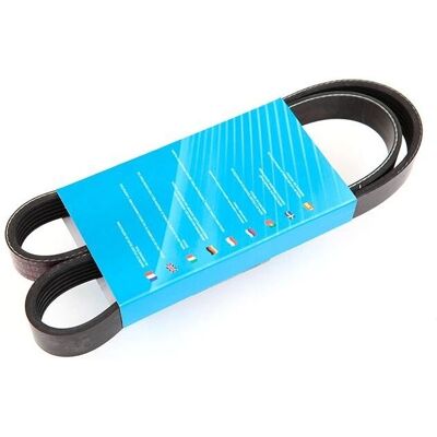 MAPCO 1045mm Cinghia Poly-V - Cinghia accessori MAPCO 1045mm Cinghia Poly-V - Cinghia accessori