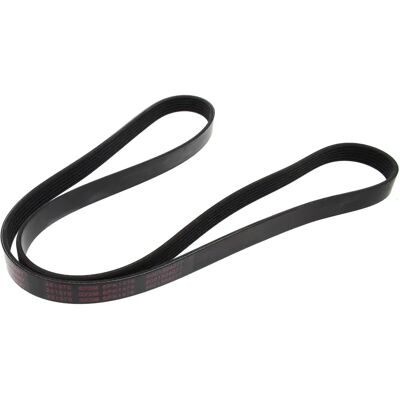 Mapco 1570mm Serpentine Belt Mapco 1570mm Serpentine Belt