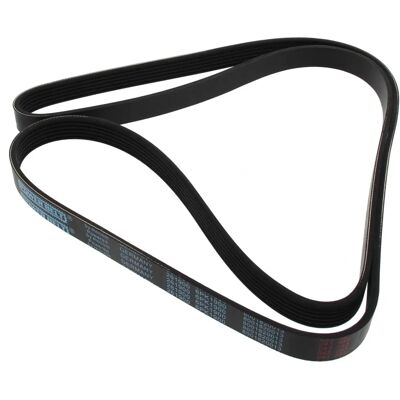 Mapco 1900mm Cinghia Poly-V - Cinghia Accessori Mapco 1900mm Cinghia Poly-V - Cinghia Accessori