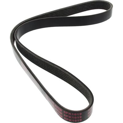 Mapco Model 1019mm Curea Poly-V - Curea accesorii Mapco Model 1019mm Curea Poly-V - Curea accesorii
