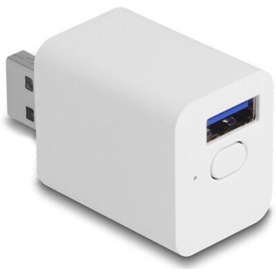 Prise intelligente DeLOCK 11832 - Blanc - Type intelligent Prise intelligente DeLOCK 11832 - Blanc - Type intelligent