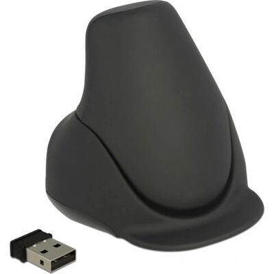 DeLOCK 12553 Mouse laser wireless ambidextrous - 2000 DPI DeLOCK 12553 Mouse laser wireless ambidextrous - 2000 DPI