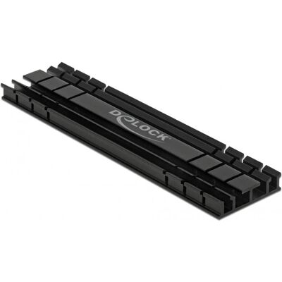 DeLOCK 18286 Flacher Kühlkörper 100 mm Schwarz - M.2 SSD DeLOCK 18286 Flacher Kühlkörper 100 mm Schwarz - M.2 SSD