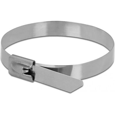 DeLOCK Edelstahl wiederverriegelbare Kabelbinder 40cm 10er Pack DeLOCK Edelstahl wiederverriegelbare Kabelbinder 40cm 10er Pack