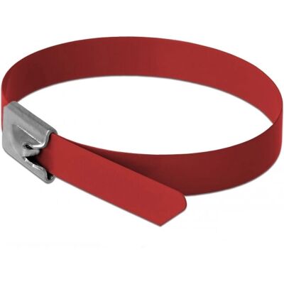 DeLOCK Edelstahl Kabelbinder Rot - 10 Stück - 200x7,9 mm DeLOCK Edelstahl Kabelbinder Rot - 10 Stück - 200x7,9 mm