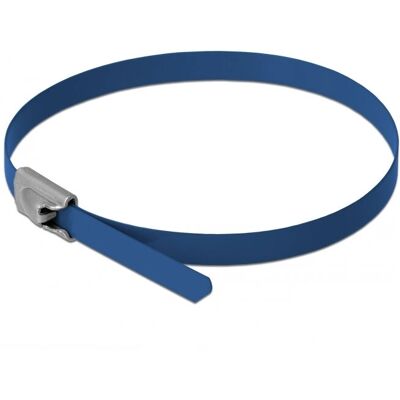 DeLOCK 18795 Fascetta in acciaio blu - 10 pz DeLOCK 18795 Fascetta in acciaio blu - 10 pz