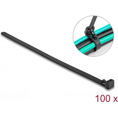 DeLOCK 19064 Nylon Kabelbindere - Varmebestandig - 15cm DeLOCK 19064 Nylon Kabelbindere - Varmebestandig - 15cm