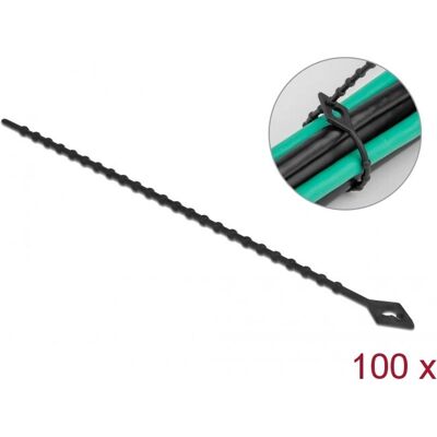 Delock 19569 Cintas de cable reutilizables de poliamida - 20cm Delock 19569 Cintas de cable reutilizables de poliamida - 20cm