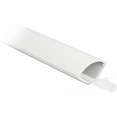 DeLock 20716 Conduit d'angle - Blanc, 1 m, 73x42 mm - Publicité DeLock 20716 Conduit d'angle - Blanc, 1 m, 73x42 mm - Publicité