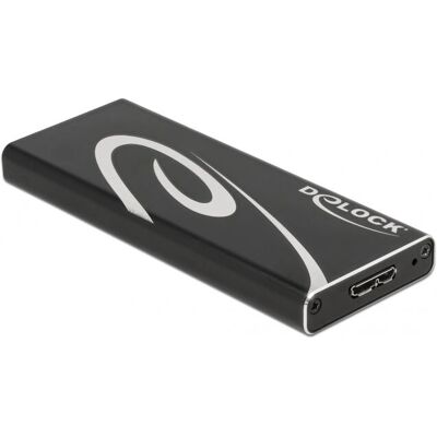 DeLock 42007 SSD-Gehäuse - Schwarz DeLock 42007 SSD-Gehäuse - Schwarz