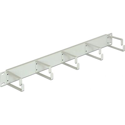 DeLOCK 42116 Accessoire de Rack - Panneau de gestion de câbles en métal - Publicité DeLOCK 42116 Accessoire de Rack - Panneau de gestion de câbles en métal - Publicité
