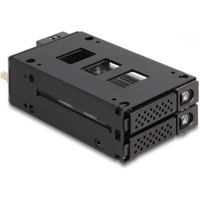 DeLOCK 47019 Drive Bay Panel - Supports 2 x 2.5" SSDs - Lockable Metal Tray - Quick Swap DeLOCK 47019 Drive Bay Panel - Supports 2 x 2.5" SSDs - Lockable Metal Tray - Quick Swap