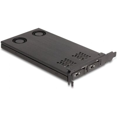 DeLOCK PCIe x16 NVMe SSD Gehäuse - Verschließbar DeLOCK PCIe x16 NVMe SSD Gehäuse - Verschließbar