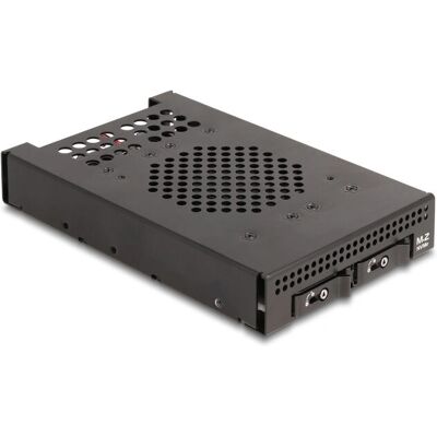 DeLOCK 47070 Panneau de baie de disque - Noir - Supporte 2 SSD M.2 NVMe - Publicité DeLOCK 47070 Panneau de baie de disque - Noir - Supporte 2 SSD M.2 NVMe - Publicité