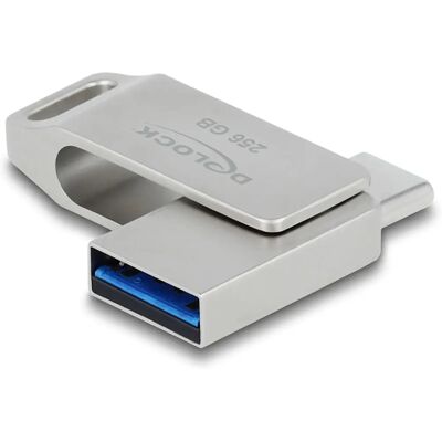 DeLOCK 54008 Clé USB - 256GB Gris - Publicité DeLOCK 54008 Clé USB - 256GB Gris - Publicité