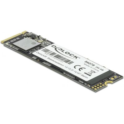 DeLOCK 54079 256GB M.2 PCIe NVMe SSD DeLOCK 54079 256GB M.2 PCIe NVMe SSD