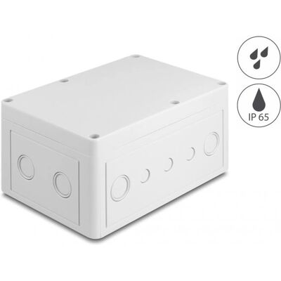 DeLock 60492 Netzwerkausrüstungsgehäuse IP65 - Netzwerkgehäuse DeLock 60492 Netzwerkausrüstungsgehäuse IP65 - Netzwerkgehäuse