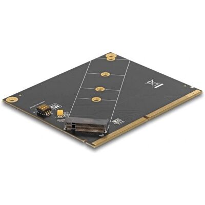 DeLock MXM to M.2 NVMe Átalakító - Fekete DeLock MXM to M.2 NVMe Átalakító - Fekete
