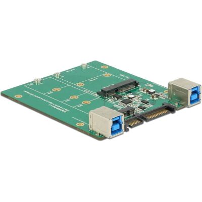 Delock M.2/mSATA Adapter - Unterstützt SATA/USB 3.1 Gen 2 - Windows & Linux Delock M.2/mSATA Adapter - Unterstützt SATA/USB 3.1 Gen 2 - Windows & Linux