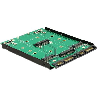 DeLOCK 62946 Schnittstellenkarte - Dual M.2/SATA-Adapter DeLOCK 62946 Schnittstellenkarte - Dual M.2/SATA-Adapter