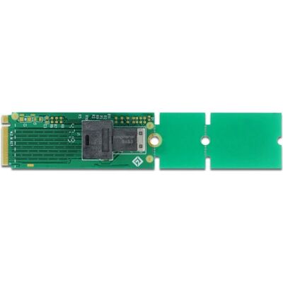 Adaptador interno DeLOCK M.2 a U.2 NVMe - Modelo 63145 Adaptador interno DeLOCK M.2 a U.2 NVMe - Modelo 63145