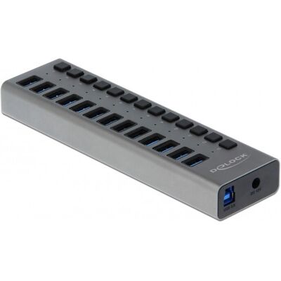 DeLOCK 63738 Concentrateur USB Gris - 13 Ports, USB 3.2 Gen 1 DeLOCK 63738 Concentrateur USB Gris - 13 Ports, USB 3.2 Gen 1