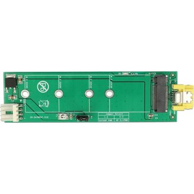 Scheda adattatore interfaccia M.2 interna DeLOCK 63917 Scheda adattatore interfaccia M.2 interna DeLOCK 63917