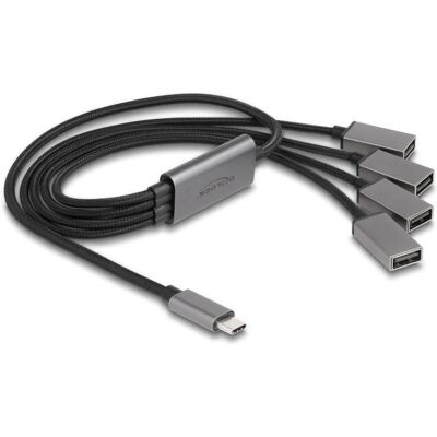 DeLOCK 64210 Concentrador USB-C - 4 Puertos USB 2.0 - Negro, Gris DeLOCK 64210 Concentrador USB-C - 4 Puertos USB 2.0 - Negro, Gris