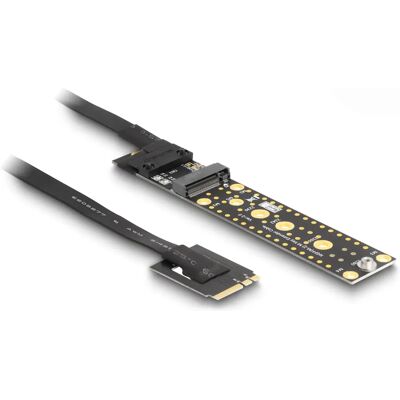 Tarjeta de interfaz Delock - Adaptador NVMe M.2 interno Tarjeta de interfaz Delock - Adaptador NVMe M.2 interno
