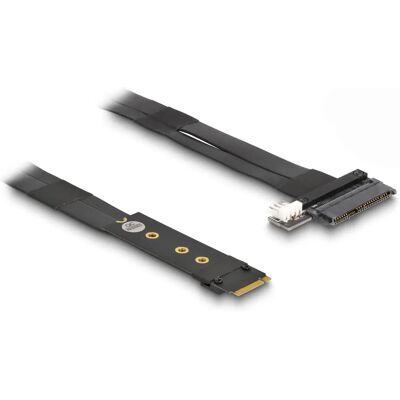 DeLOCK 64216 Tarjeta de Interfaz - Adaptador M.2 a U.2 NVMe DeLOCK 64216 Tarjeta de Interfaz - Adaptador M.2 a U.2 NVMe