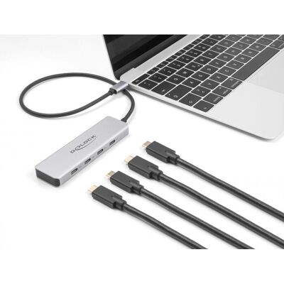 DeLOCK 64231 rajapintakytkin - 10 Gbps, 4 x USB Type-C, Harmaa DeLOCK 64231 rajapintakytkin - 10 Gbps, 4 x USB Type-C, Harmaa