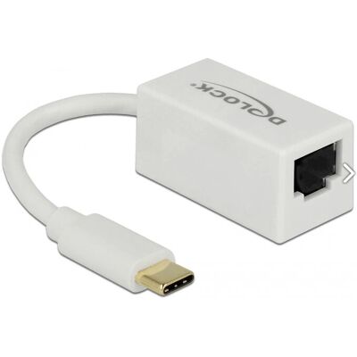 DeLOCK 65906 USB-C to Gigabit Ethernet Adapter - White DeLOCK 65906 USB-C to Gigabit Ethernet Adapter - White