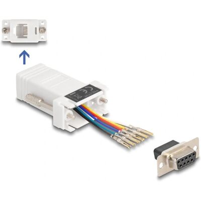 DeLock 67078 Kabel Gender Changer - D-Sub 9, RJ12 Weiß DeLock 67078 Kabel Gender Changer - D-Sub 9, RJ12 Weiß