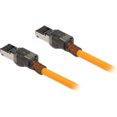 Câble réseau DeLOCK 80403 Cat6a S/FTP - 0,5 m - Orange Câble réseau DeLOCK 80403 Cat6a S/FTP - 0,5 m - Orange