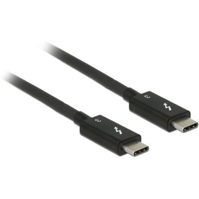 DeLOCK 84844 USB & Thunderbolt Kabel - Zwart - 0,5m DeLOCK 84844 USB & Thunderbolt Kabel - Zwart - 0,5m