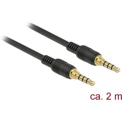 Cavo audio DeLOCK 85598 - 2m - Nero - Compatibile con iPhone, iPad, iPod Cavo audio DeLOCK 85598 - 2m - Nero - Compatibile con iPhone, iPad, iPod