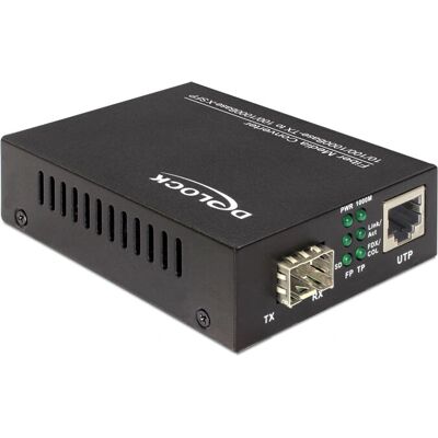 Convertitore di mezzi di rete DeLOCK 86110 - Ethernet Gigabit Convertitore di mezzi di rete DeLOCK 86110 - Ethernet Gigabit