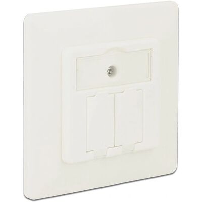 DeLOCK 86219 Wanddose - 2 Ports - Reinweiß RAL 9010 DeLOCK 86219 Wanddose - 2 Ports - Reinweiß RAL 9010