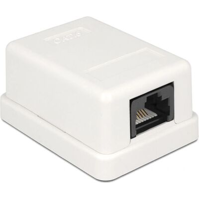 DeLOCK Wandsteckdose - CAT6 RJ-45 Weiß - Netzwerkkabelzubehör DeLOCK Wandsteckdose - CAT6 RJ-45 Weiß - Netzwerkkabelzubehör