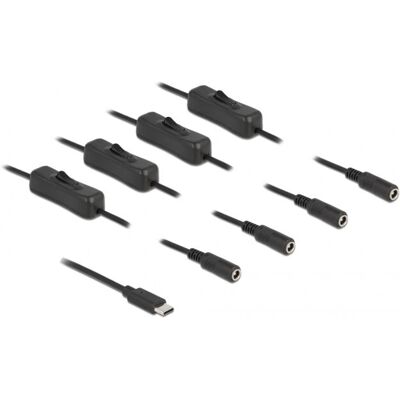 DeLOCK 86802 Kabeladapter - USB-C zu DC Stromverteiler DeLOCK 86802 Kabeladapter - USB-C zu DC Stromverteiler