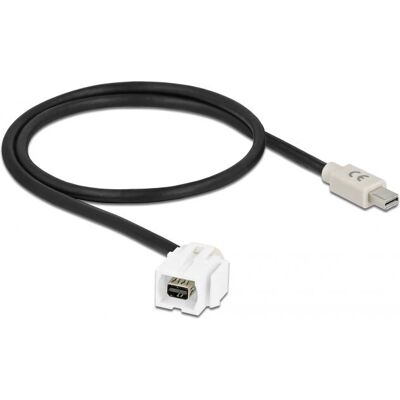 Delock Keystone Modul - 110° Winkel Mini DisplayPort - Weiß Delock Keystone Modul - 110° Winkel Mini DisplayPort - Weiß