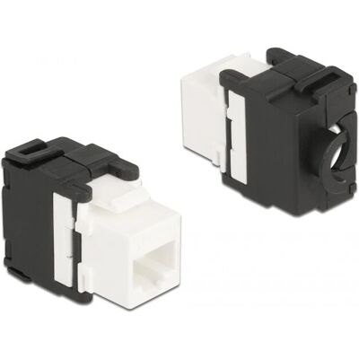 DeLock Keystone Modul RJ45 - Netz-Zubehör DeLock Keystone Modul RJ45 - Netz-Zubehör