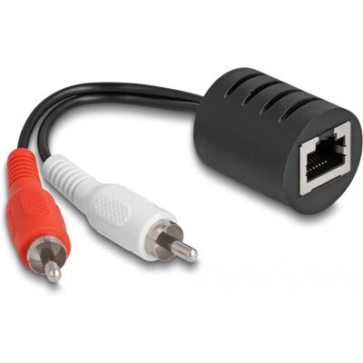 Delock Audio-Adapter RJ45 zu RCA - Packung mit 2 Delock Audio-Adapter RJ45 zu RCA - Packung mit 2