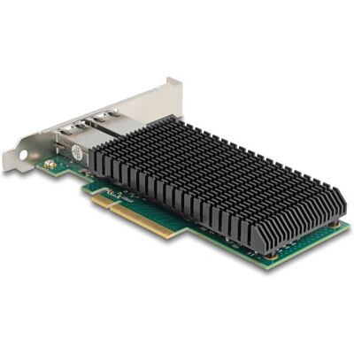 DeLOCK 88522 Network Card - Dual 10GbE PCIe x8 DeLOCK 88522 Network Card - Dual 10GbE PCIe x8
