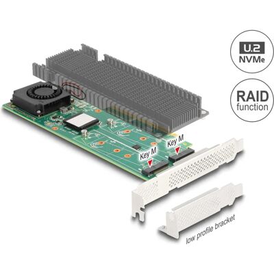 Delock Speichercontroller - M.2 NVMe-Karte - Low Profile - Raid 0, 1, JBOD - PCIe 3.0 x8 Delock Speichercontroller - M.2 NVMe-Karte - Low Profile - Raid 0, 1, JBOD - PCIe 3.0 x8
