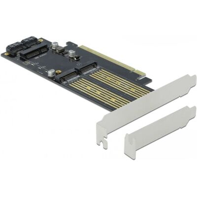 DeLOCK 90486 Interface Cards - M.2 & mSATA Expansion DeLOCK 90486 Interface Cards - M.2 & mSATA Expansion